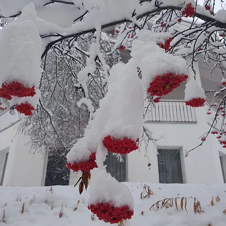 Apartment Foresta