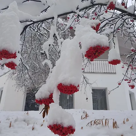 Apartment Foresta Samnaun