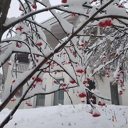 Apartment Foresta