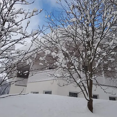 Apartment Foresta Samnaun